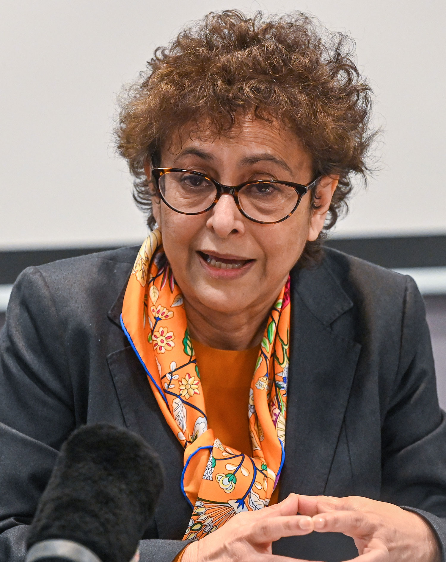 Ms. Irene KHAN, UN Special Rapporteur on freedom of opinion and expression.